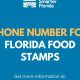 Florida Food Stamp Phone Number | Old Stamp Collecting Guide: Discover, Value & Preserve Vintage Stamps