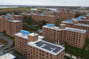 Find Your Far Rockaway NY Food Stamp Office | Old Stamp Collecting Guide: Discover, Value & Preserve Vintage Stamps