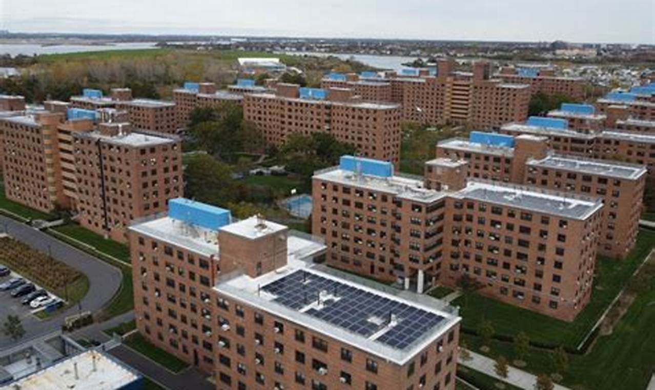 Find Your Far Rockaway NY Food Stamp Office | Old Stamp Collecting Guide: Discover, Value & Preserve Vintage Stamps