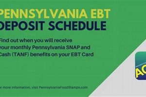 Pa Food Stamp Distribution Dates | Old Stamp Collecting Guide: Discover, Value & Preserve Vintage Stamps