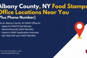 Food Stamp Office New Albany Ms | Old Stamp Collecting Guide: Discover, Value & Preserve Vintage Stamps