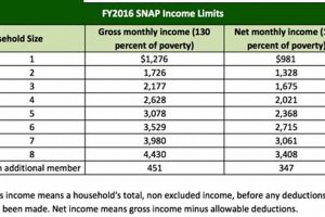 LA Food Stamp Income Chart 2024: SNAP Guide | Old Stamp Collecting Guide: Discover, Value & Preserve Vintage Stamps