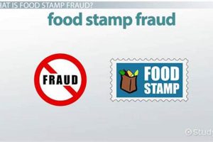 Penalties for Food Stamp Fraud & Consequences | Old Stamp Collecting Guide: Discover, Value & Preserve Vintage Stamps