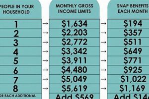 Kentucky Food Stamp Eligibility Requirements & Guide | Old Stamp Collecting Guide: Discover, Value & Preserve Vintage Stamps