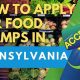 PA Food Stamp Application: Your Guide &amp; Help | Old Stamp Collecting Guide: Discover, Value & Preserve Vintage Stamps