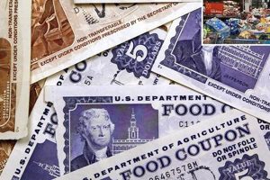 Decoding Food Stamp Glitches &amp; Solutions | Old Stamp Collecting Guide: Discover, Value & Preserve Vintage Stamps