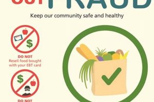 California Food Stamp Fraud | Old Stamp Collecting Guide: Discover, Value & Preserve Vintage Stamps