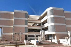 Daytona Food Stamp Office: Your SNAP Guide | Old Stamp Collecting Guide: Discover, Value & Preserve Vintage Stamps