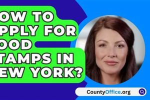 Apply for Food Stamps in NY: Your Easy Guide | Old Stamp Collecting Guide: Discover, Value & Preserve Vintage Stamps