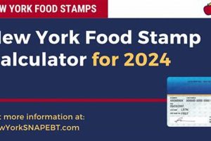 NY Food Stamp Calculator: Check Eligibility | Old Stamp Collecting Guide: Discover, Value & Preserve Vintage Stamps