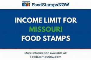 Your MO Food Stamp Number: A Guide | Old Stamp Collecting Guide: Discover, Value & Preserve Vintage Stamps
