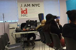 Find Your Jamaica, Queens Food Stamp Office | Old Stamp Collecting Guide: Discover, Value & Preserve Vintage Stamps