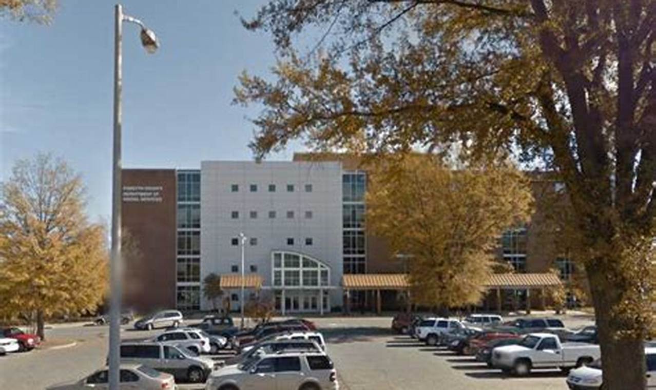 Food Stamp Office Winston Salem Nc | Old Stamp Collecting Guide: Discover, Value & Preserve Vintage Stamps