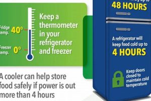 Get Food Stamp Power Outage Replacement | Old Stamp Collecting Guide: Discover, Value & Preserve Vintage Stamps