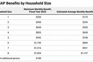Michigan Food Stamp Calculator: Check Your Eligibility | Old Stamp Collecting Guide: Discover, Value & Preserve Vintage Stamps