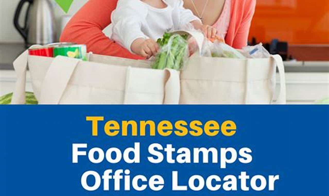 TN Food Stamp Number: EBT Card Guide | Old Stamp Collecting Guide: Discover, Value & Preserve Vintage Stamps