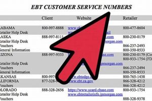 Check Your Florida Food Stamp Balance Now | Old Stamp Collecting Guide: Discover, Value & Preserve Vintage Stamps