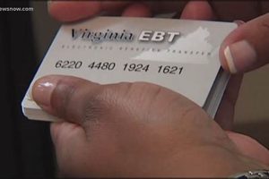 Your VA Food Stamp Card: A Guide & Benefits | Old Stamp Collecting Guide: Discover, Value & Preserve Vintage Stamps