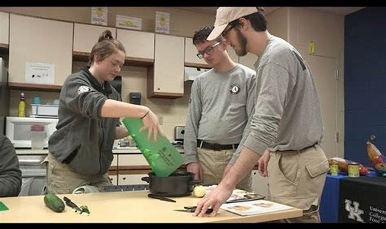 Food Stamp Office Madisonville Ky | Old Stamp Collecting Guide: Discover, Value & Preserve Vintage Stamps