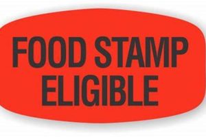 Buy Chips on Amazon with Food Stamps? | Old Stamp Collecting Guide: Discover, Value & Preserve Vintage Stamps