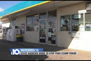 Combating Oklahoma Food Stamp Fraud & Theft | Old Stamp Collecting Guide: Discover, Value & Preserve Vintage Stamps