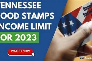 Find Bankhead Food Stamp Office Locations & Info | Old Stamp Collecting Guide: Discover, Value & Preserve Vintage Stamps