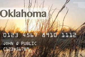 Oklahoma EBT Card Number: A Guide & FAQs | Old Stamp Collecting Guide: Discover, Value & Preserve Vintage Stamps