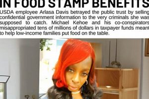 Food Stamp Case Worker | Old Stamp Collecting Guide: Discover, Value & Preserve Vintage Stamps