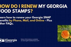 Easy Georgia Food Stamp Renewal Guide | Old Stamp Collecting Guide: Discover, Value & Preserve Vintage Stamps