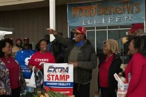 Ct Food Stamp Guidelines Old Stamp Collecting Guide: Discover, Value & Preserve Vintage Stamps Ct Food Stamp Guidelines | Old Stamp Collecting Guide: Discover, Value & Preserve Vintage Stamps