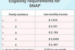 Texas Food Stamp Eligibility Requirements | Old Stamp Collecting Guide: Discover, Value & Preserve Vintage Stamps