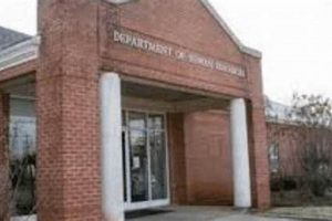 Boone County Food Stamp Office Florence Ky | Old Stamp Collecting Guide: Discover, Value & Preserve Vintage Stamps