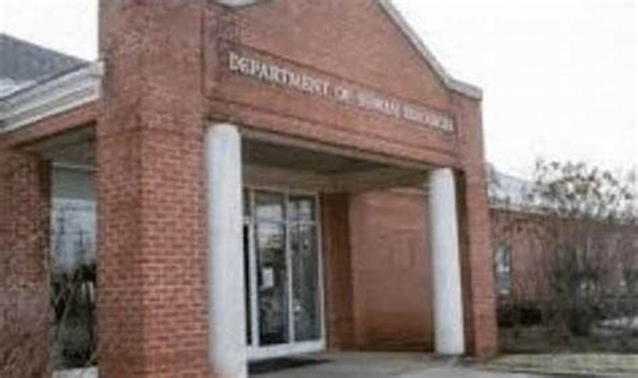 Boone County Food Stamp Office Florence Ky | Old Stamp Collecting Guide: Discover, Value & Preserve Vintage Stamps