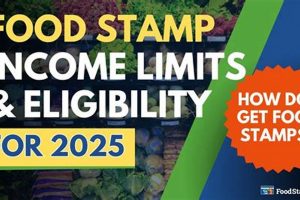 2025 Food Stamp Law Changes: What to Expect Old Stamp Collecting Guide: Discover, Value & Preserve Vintage Stamps 2025 Food Stamp Law Changes: What to Expect | Old Stamp Collecting Guide: Discover, Value & Preserve Vintage Stamps