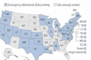 Is the Food Stamp Program Ending Soon? Updates & Facts | Old Stamp Collecting Guide: Discover, Value & Preserve Vintage Stamps