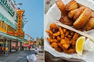 Coney Island Food Stamp Old Stamp Collecting Guide: Discover, Value & Preserve Vintage Stamps Coney Island Food Stamp | Old Stamp Collecting Guide: Discover, Value & Preserve Vintage Stamps