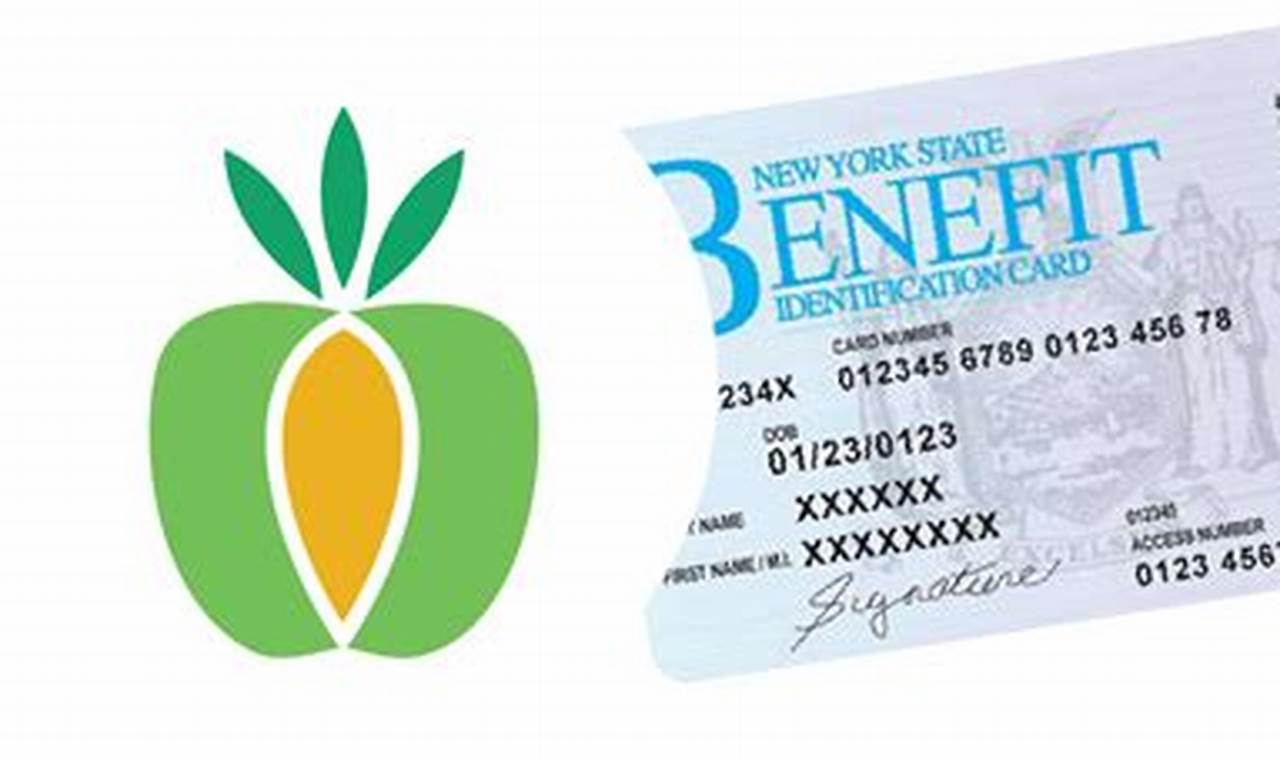 Lost Food Stamp Card? Replacement Number & Info | Old Stamp Collecting Guide: Discover, Value & Preserve Vintage Stamps