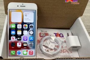 Free iPhone with Food Stamps? Find Out How! Old Stamp Collecting Guide: Discover, Value & Preserve Vintage Stamps Free iPhone with Food Stamps? Find Out How! | Old Stamp Collecting Guide: Discover, Value & Preserve Vintage Stamps