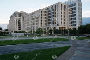 Food Stamp Office In Baton Rouge | Old Stamp Collecting Guide: Discover, Value & Preserve Vintage Stamps