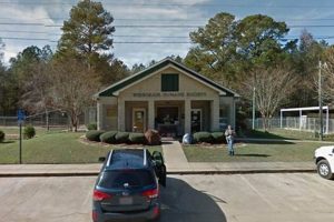 Dothan AL Food Stamp Office: Your Guide & Resources Old Stamp Collecting Guide: Discover, Value & Preserve Vintage Stamps Dothan AL Food Stamp Office: Your Guide & Resources | Old Stamp Collecting Guide: Discover, Value & Preserve Vintage Stamps