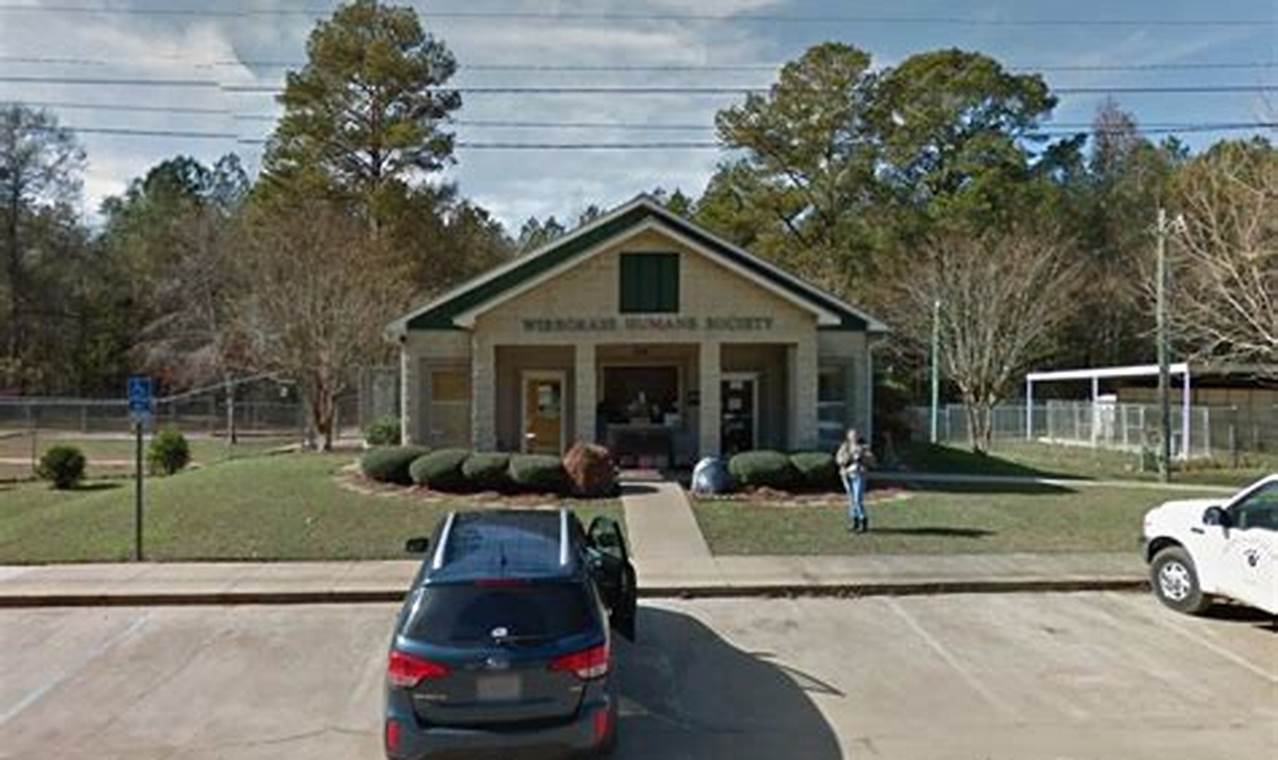 Dothan AL Food Stamp Office: Your Guide & Resources Old Stamp Collecting Guide: Discover, Value & Preserve Vintage Stamps Dothan AL Food Stamp Office: Your Guide & Resources | Old Stamp Collecting Guide: Discover, Value & Preserve Vintage Stamps