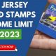 NJ Food Stamp Guide: Benefits & Eligibility | Old Stamp Collecting Guide: Discover, Value & Preserve Vintage Stamps