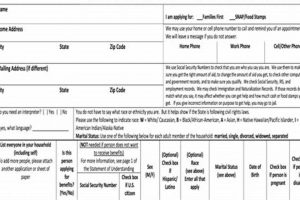 Apply for Food Stamps in Memphis, TN Today Old Stamp Collecting Guide: Discover, Value & Preserve Vintage Stamps Apply for Food Stamps in Memphis, TN Today | Old Stamp Collecting Guide: Discover, Value & Preserve Vintage Stamps