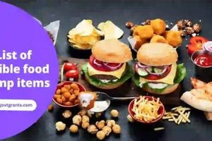 SNAP Eligible Food Guide: What Can I Buy? | Old Stamp Collecting Guide: Discover, Value & Preserve Vintage Stamps