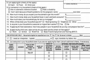 Apply for DC Food Stamps: Your Guide & Application | Old Stamp Collecting Guide: Discover, Value & Preserve Vintage Stamps