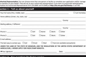 Apply for Missouri Food Stamps: Your Guide | Old Stamp Collecting Guide: Discover, Value & Preserve Vintage Stamps