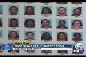 Florida Food Stamp Fraud Report & Penalties | Old Stamp Collecting Guide: Discover, Value & Preserve Vintage Stamps