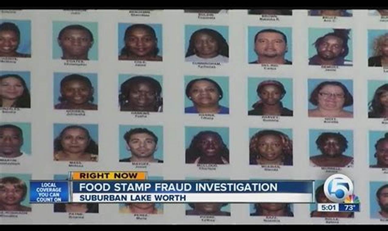Florida Food Stamp Fraud Report & Penalties | Old Stamp Collecting Guide: Discover, Value & Preserve Vintage Stamps
