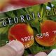 Lost Your GA EBT Card? Get a Replacement Now | Old Stamp Collecting Guide: Discover, Value & Preserve Vintage Stamps