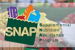 Boost Health: Food Stamp Veggie Program Guide | Old Stamp Collecting Guide: Discover, Value & Preserve Vintage Stamps